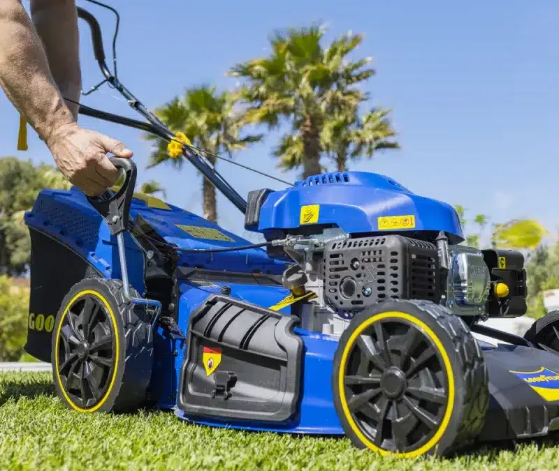 RECAMBIOS CORTACESPED GOODYEAR