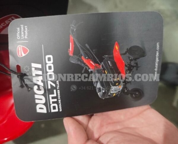 MOTOAZADA DUCATI DTL7000 7HP