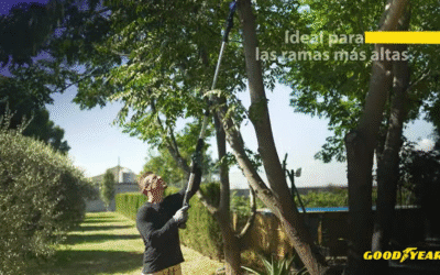 Pértiga de poda: guía 2025 y compatible Goodyear y Ducati.
