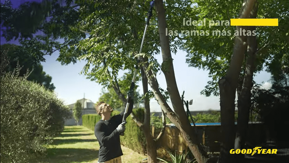 Pértiga de Poda: la herramienta esencial para una poda segura y precisa Pértiga de Poda: la herramienta esencial para una poda segura y precisa