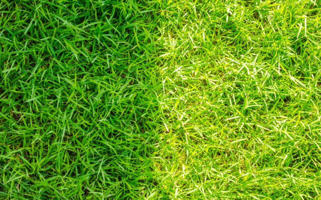 Césped artificial vs césped natural 2025: Guía Completa para Elegir y Mantener tu jardín